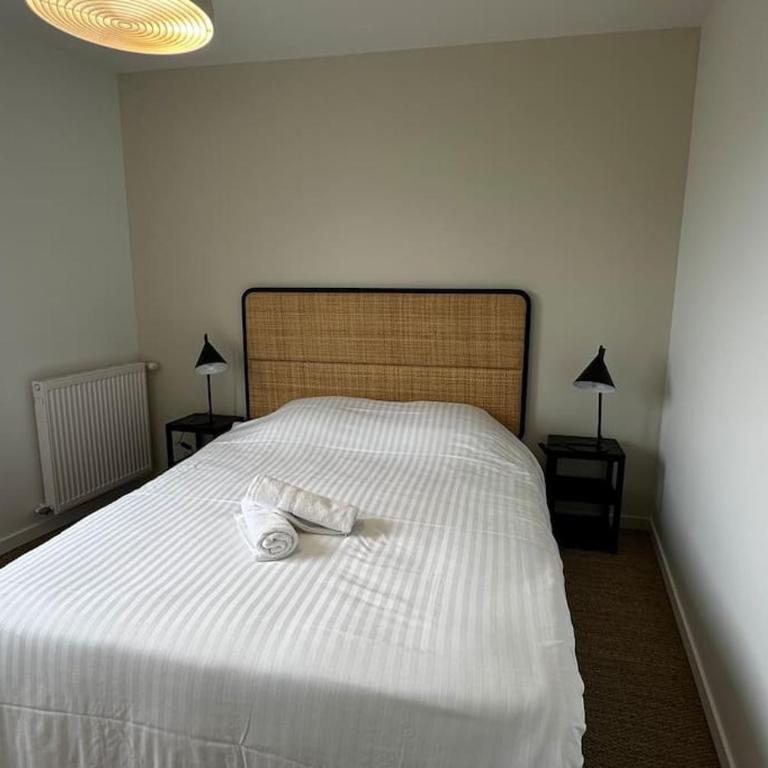 Maison Style & Espace à Angers - Chambre Deluxe Double ou Lits Jumeaux - 15