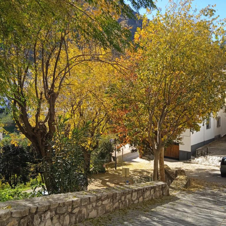 CASA CRIS OLDTOWN II Cazorla - Casa con 1 dormitorio - 17