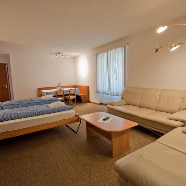 Haus Matten, Apartment Birch - Apartamento de 1 dormitorio - 16