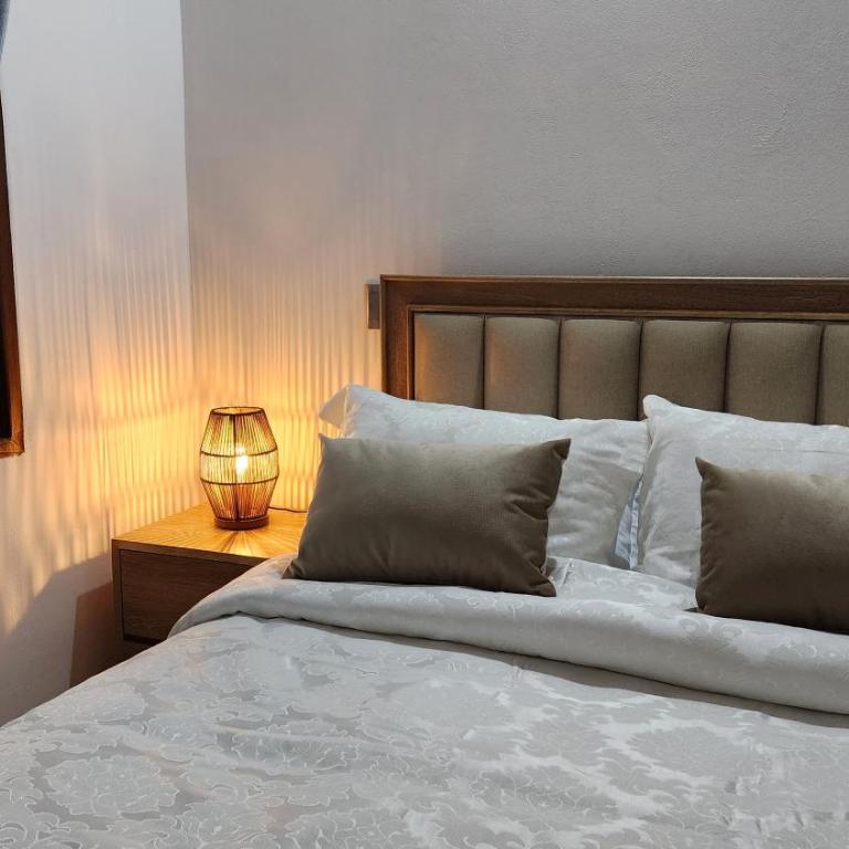 OCASSO JARDIN APARTAMENTO GALLITO DE ROCA - Apartamento de 3 dormitorios - 66