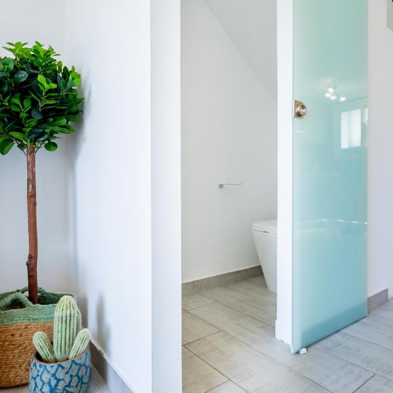 Luxury Parque Santiago I - Apartamento de 1 dormitorio - 11