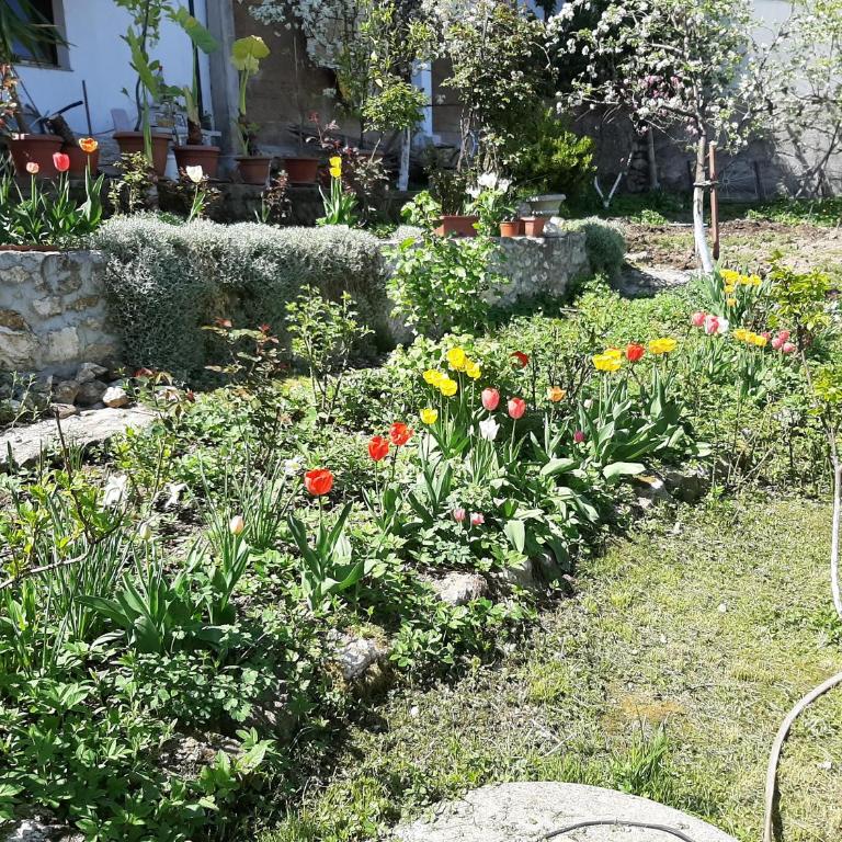 Apartments Amy - Apartman sa 3 Spavaće Sobe - 2