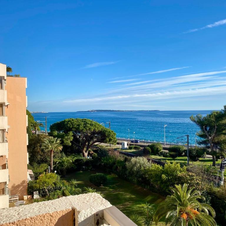 Cannes Les Plages SCLS - Clim, Parking, Piscine - Appartement 1 Chambre - 10