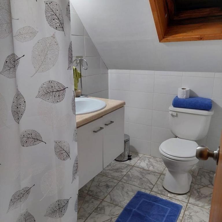 Apart Rayen - Apartamento de 3 dormitorios - 6