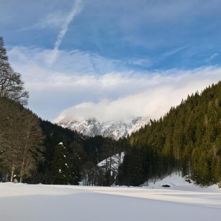 Alpenrose Boutique Chalet Gretl - Haus mit 4 Schlafzimmern - 45
