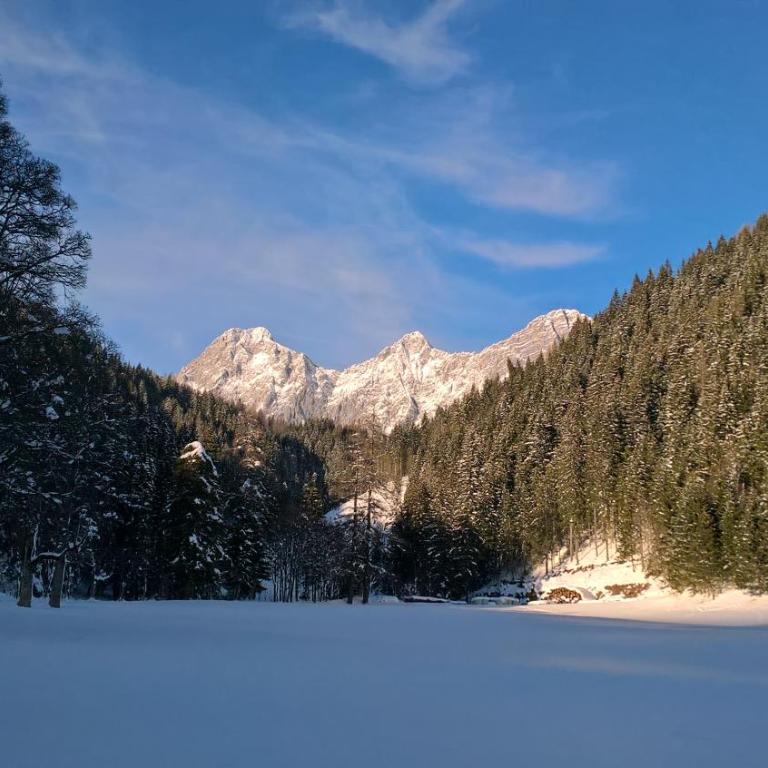 Alpenrose Boutique Chalet Gretl - Haus mit 4 Schlafzimmern - 46