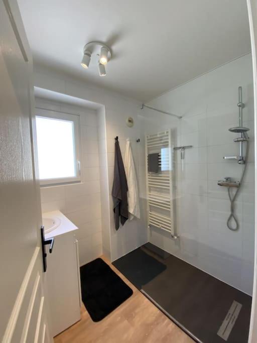 Magnifique Appart rénové Evian Duplex vue Lac 8 pers - Appartement 3 Chambres - 22