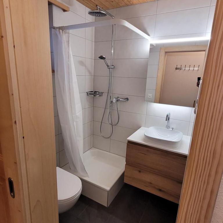 Chalet Meise - Apartment mit 1 Schlafzimmer - 11