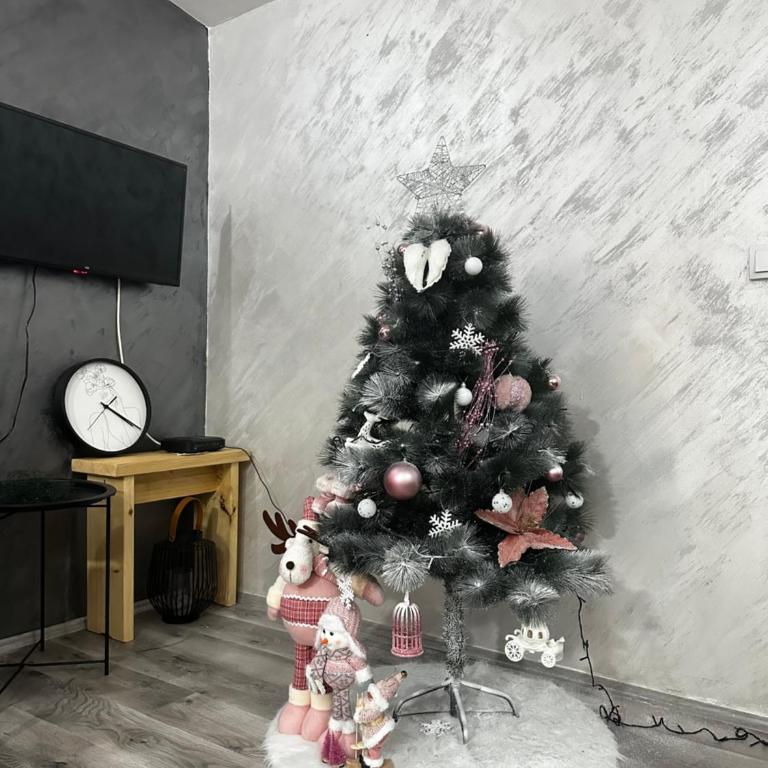 Splav Sandjama - Apartman sa 1 Spavaćom Sobom - 16