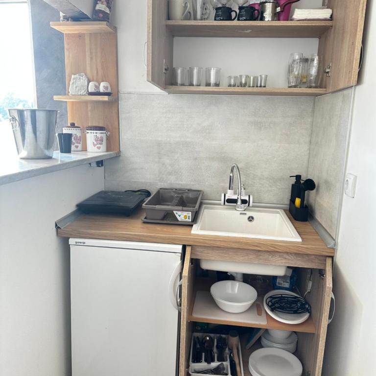 Splav Sandjama - Apartman sa 1 Spavaćom Sobom - 18