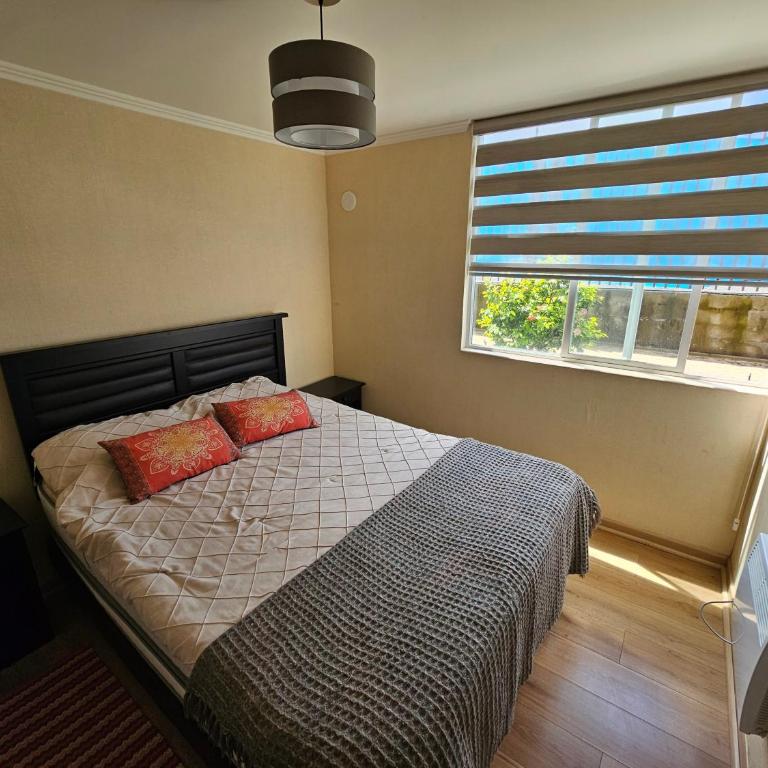Departamento 105 Lanin Cdo Parque al Volcán - Apartamento de 3 dormitorios - 8