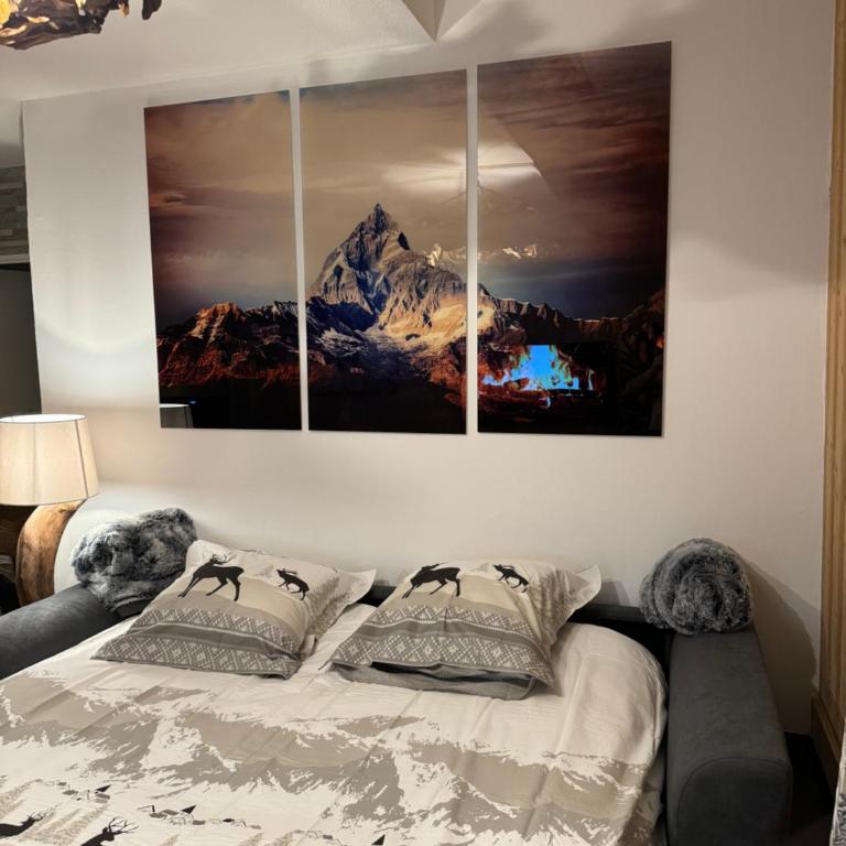 Cocon au cœur de Chamonix avec parking gratuit - Appartamento con 1 Camera da Letto - 20