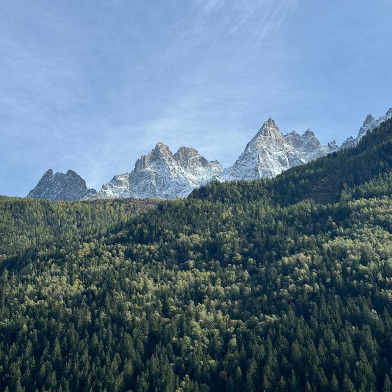 Cocon au cœur de Chamonix avec parking gratuit - Appartamento con 1 Camera da Letto - 41