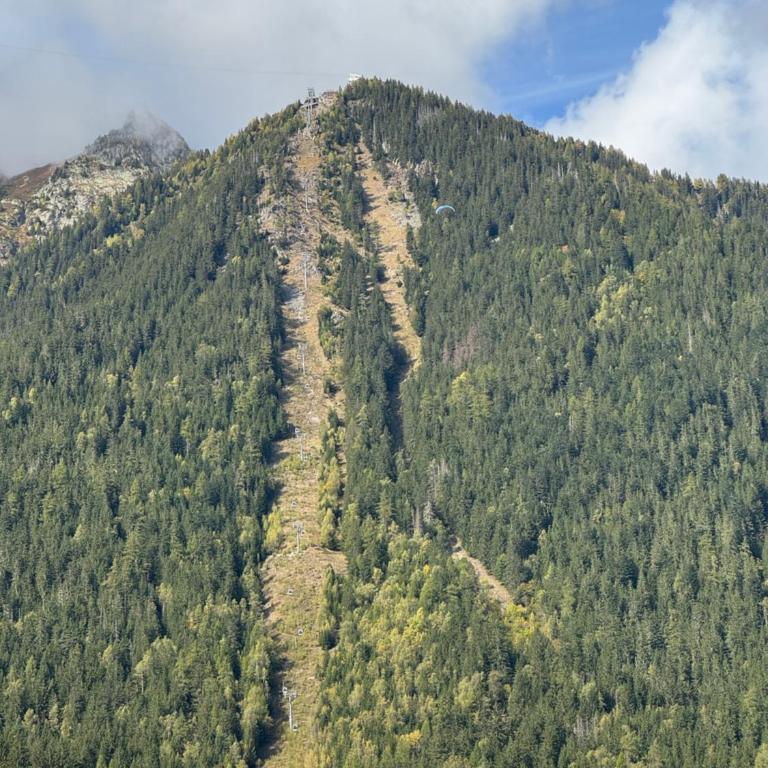 Cocon au cœur de Chamonix avec parking gratuit - Appartamento con 1 Camera da Letto - 44