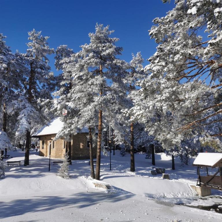 Apartman Zlatni breg Divčibare - Apartman sa 1 Spavaćom Sobom - 37