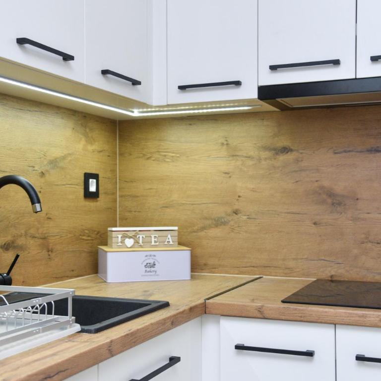 Jahorina SKYLUX Apartment 8 - One-Bedroom Apartment - 8