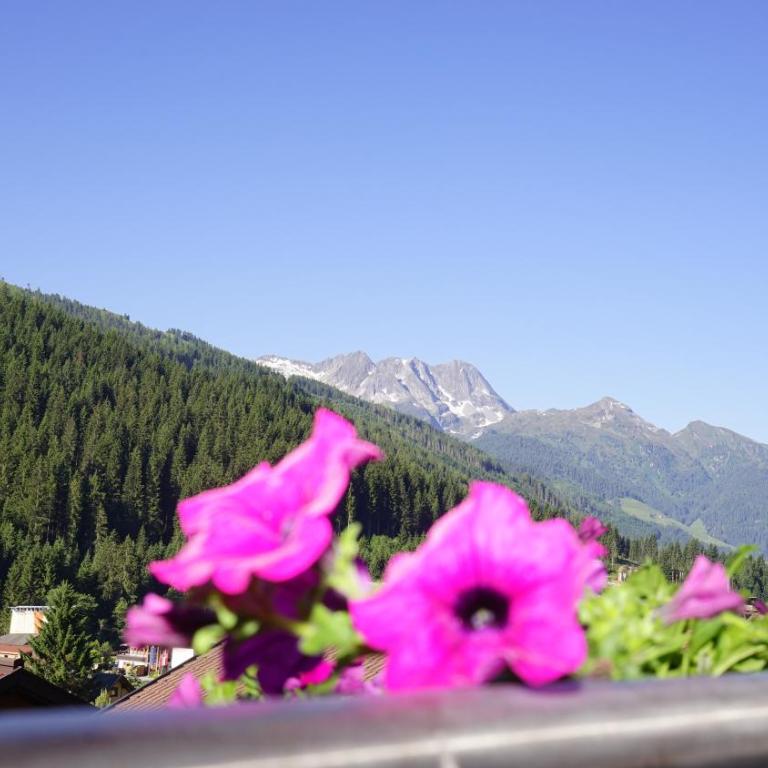 Chalet Lena - Apartamento Deluxe (4 adultos) - 16