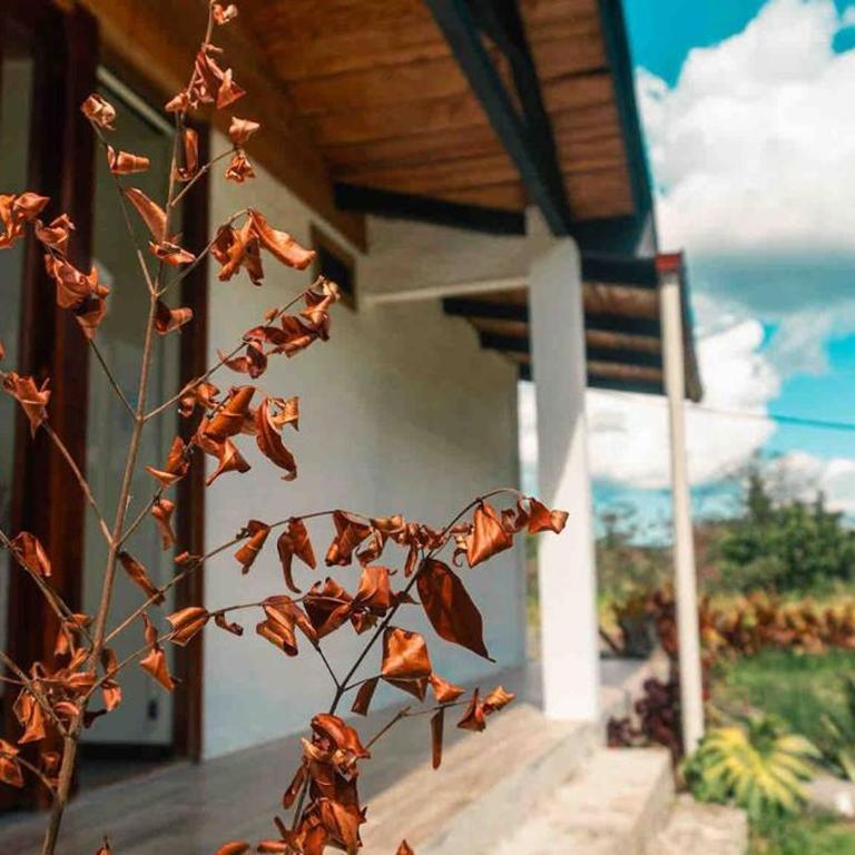 Riverside Cabin in Cumandá, near Baños, Ecuador - Casa de 2 dormitorios - 3