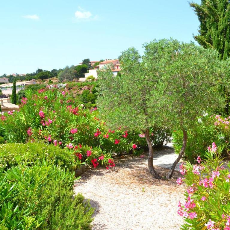 Appartement avec jardinet, terrasse, piscine et parking aux Issambres - FR-1-768-9 - Maison de Vacances - 17