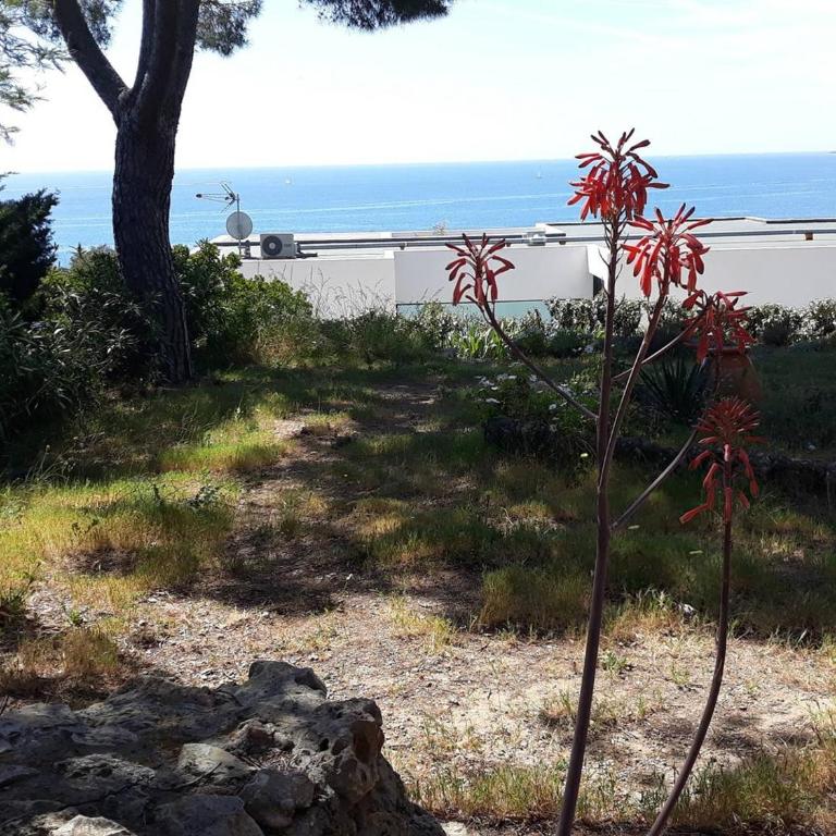 Villa familiale 8 pers, jardin, BBQ, proche mer - Les Issambres - FR-1-768-28 - Villa - 11
