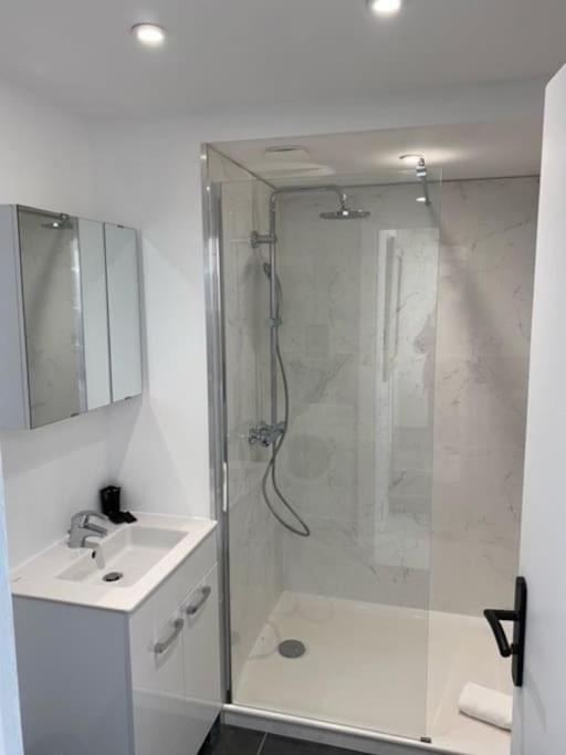 NEW TOP DUPLEX CENTRE AVEC TERRASSE ET PARKING - Appartement 1 Chambre - 6