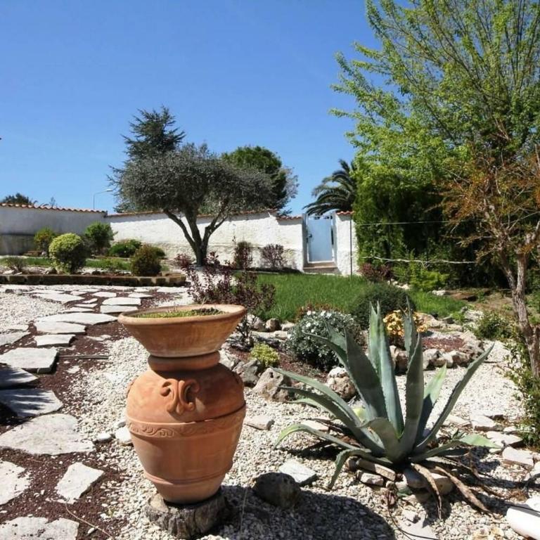 Villetta Monolocale Cod. 379 - Taunus Vacanze - Appartamento con 1 Camera da Letto - 2