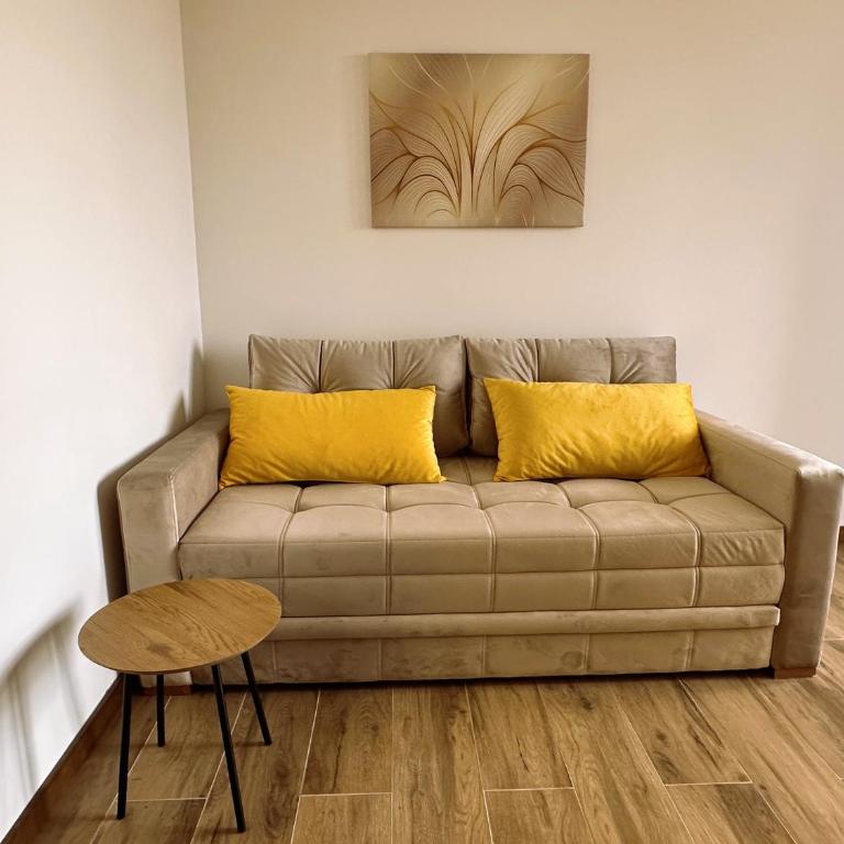 Zlatni apartman Borovi - Deluks Studio sa Bračnim Krevetom (King-size) - 5