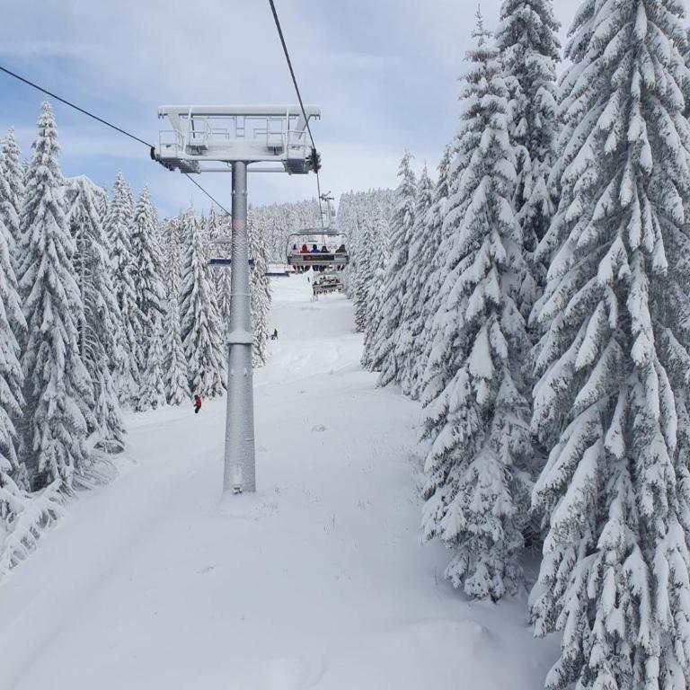 Kopaonik best view apartment - One-Bedroom Apartment - 31