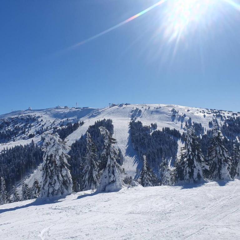 Kopaonik best view apartment - One-Bedroom Apartment - 29