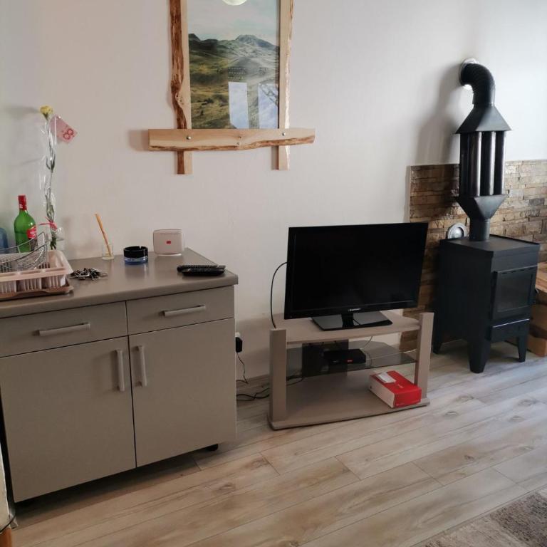 Apartmani Košuta- Ljiljana Đokanović - One-Bedroom Apartment - 23