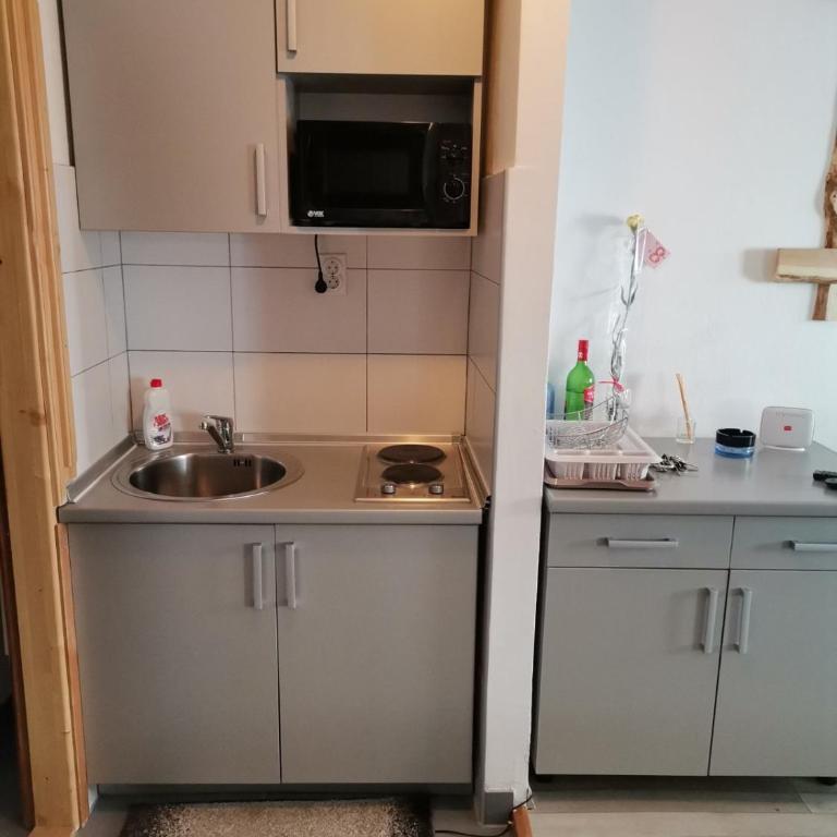 Apartmani Košuta- Ljiljana Đokanović - One-Bedroom Apartment - 24