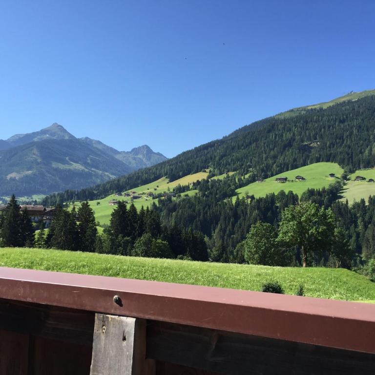 Das Alpbach Juwel - Deluxe Apartment - 12
