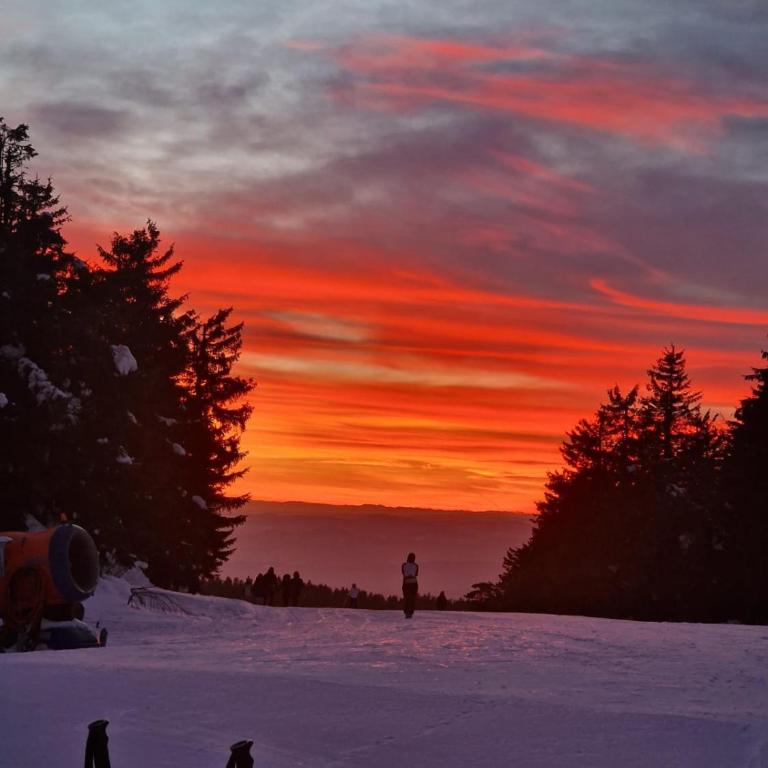 Apartman KUTIJA Kopaonik - One-Bedroom Apartment - 50