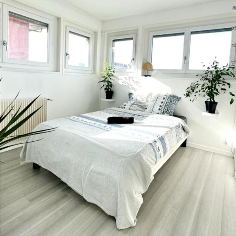 L'Élégant - Appartement 3 Chambres - 11