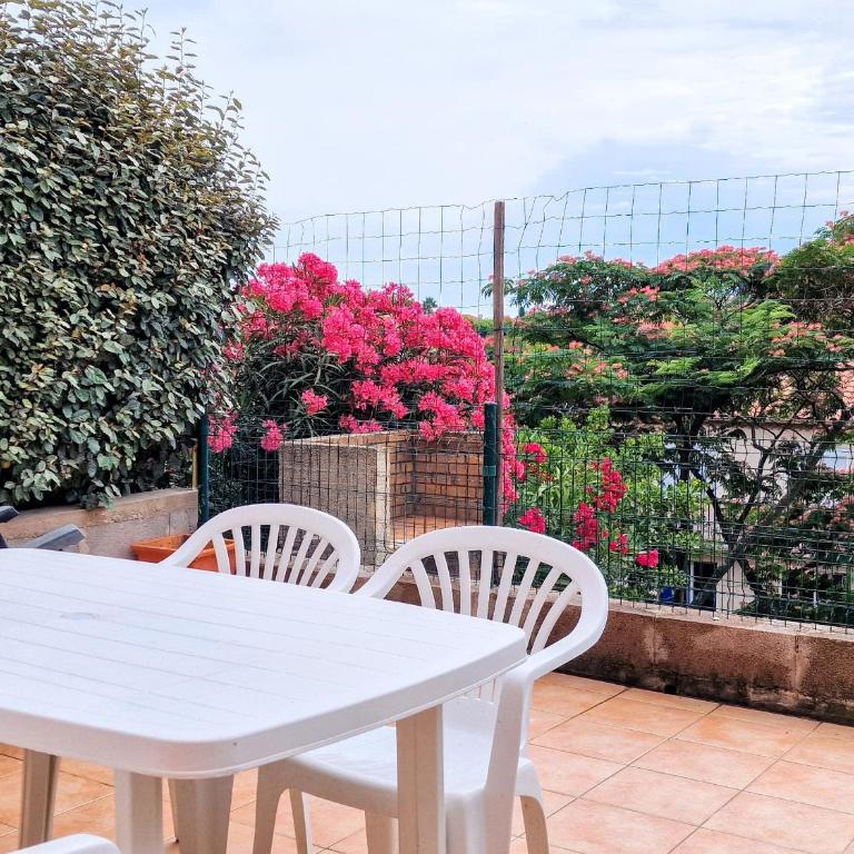 Studio cabine avec terrasse et parking à Banyuls-sur-Mer - FR-1-309-277 - Studio - 4