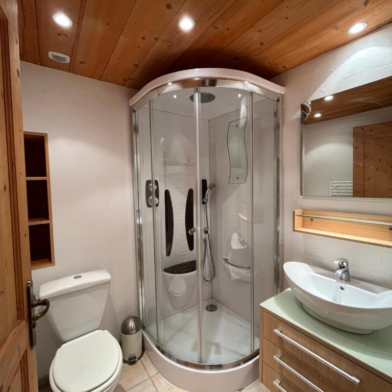 Apartment Les Rousses 3 minutes from Alpe dHuez Grand Domaine via Oz en Oisans - Apartment mit 3 Schlafzimmern - 8
