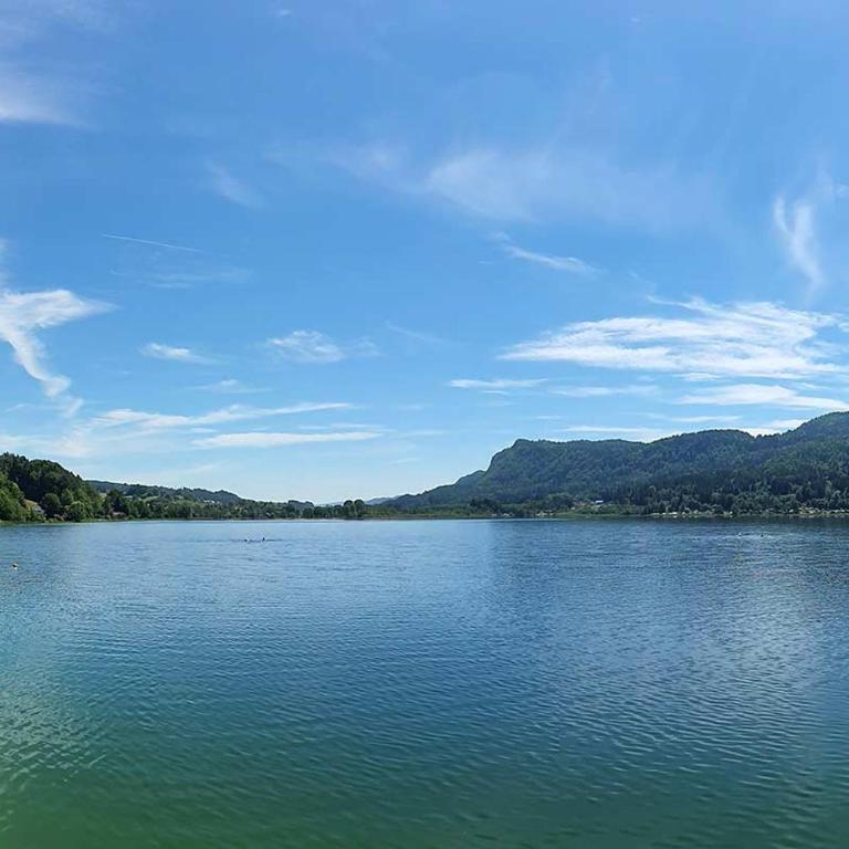 Appartement Belvedere - Apartment - 3