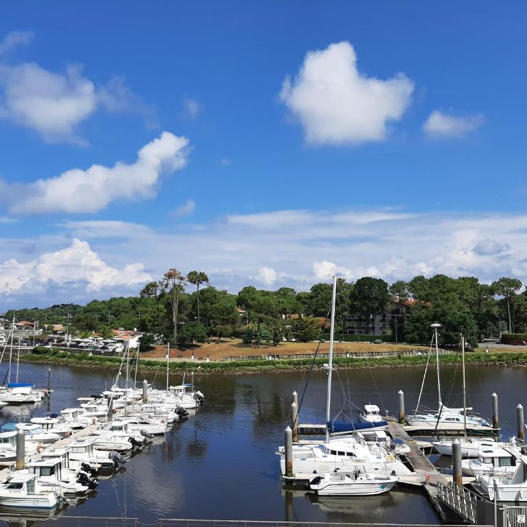 Bel Appartement Moderne à Capbreton avec Wifi et Parking Privé - FR-1-239-803 - Appartement 1 Chambre - 7
