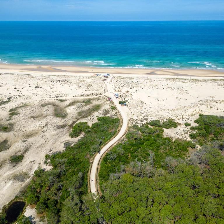 Appartement T3 rénové face à la dune, 6 pers., piscine, plage à pied - Biscarrosse - FR-1-319-489 - Appartement - 16