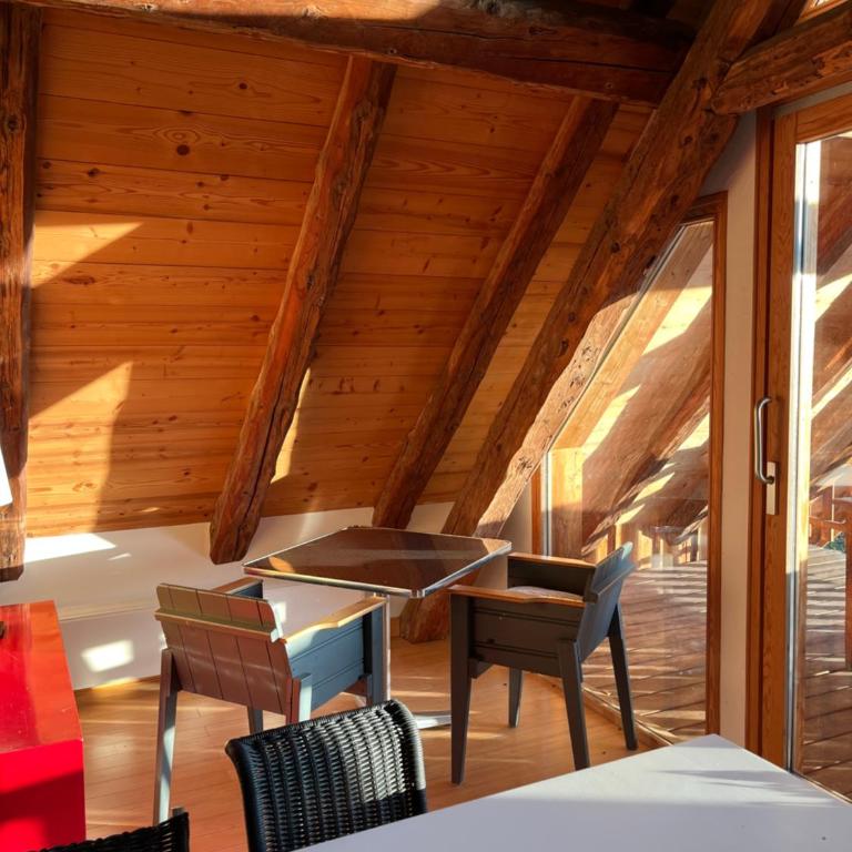 The Loft 3 minutes from Alpe dHuez Grand Domaine via Oz en Oisans - Penthouse-Apartment - 19