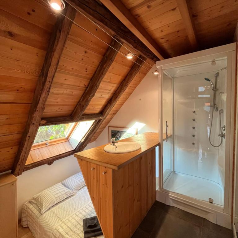 The Loft 3 minutes from Alpe dHuez Grand Domaine via Oz en Oisans - Penthouse-Apartment - 9