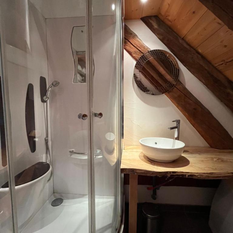 The Loft 3 minutes from Alpe dHuez Grand Domaine via Oz en Oisans - Penthouse-Apartment - 18