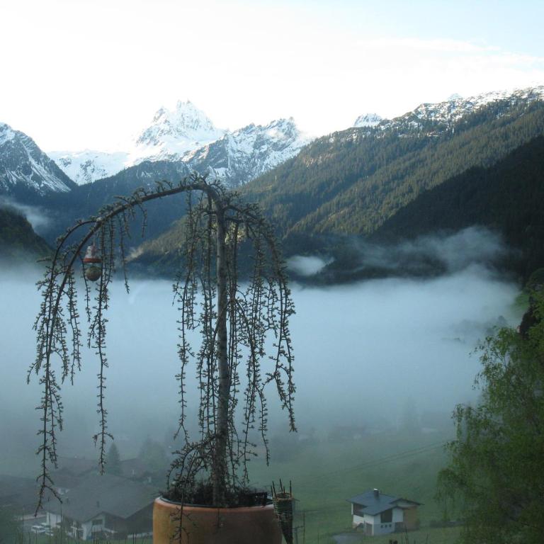 Apart Alpenpension Maderer - Apartment mit 1 Schlafzimmer - 22