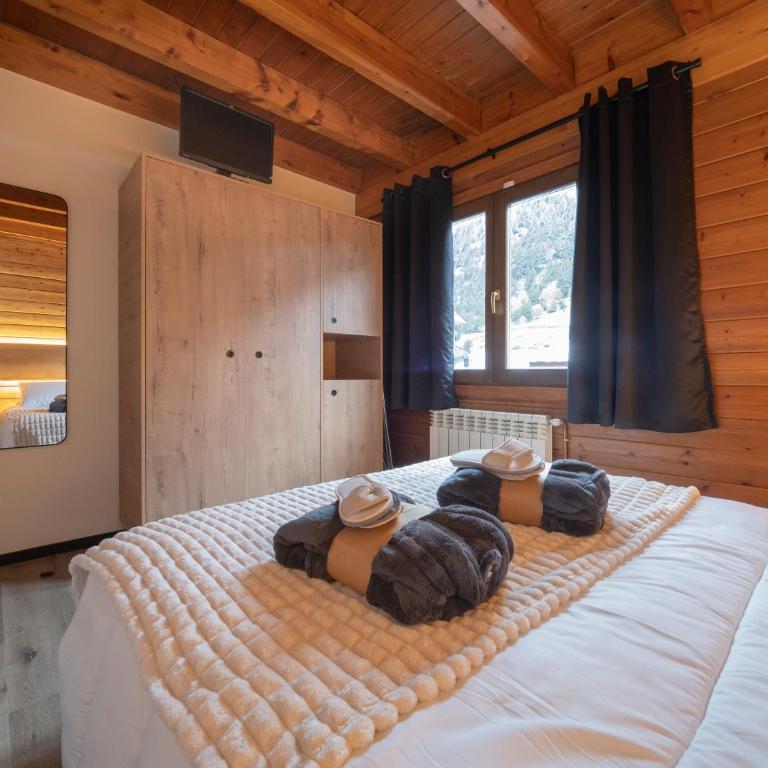 Heima Riu d'Incles 2-2 - Appartement 1 Chambre - 5