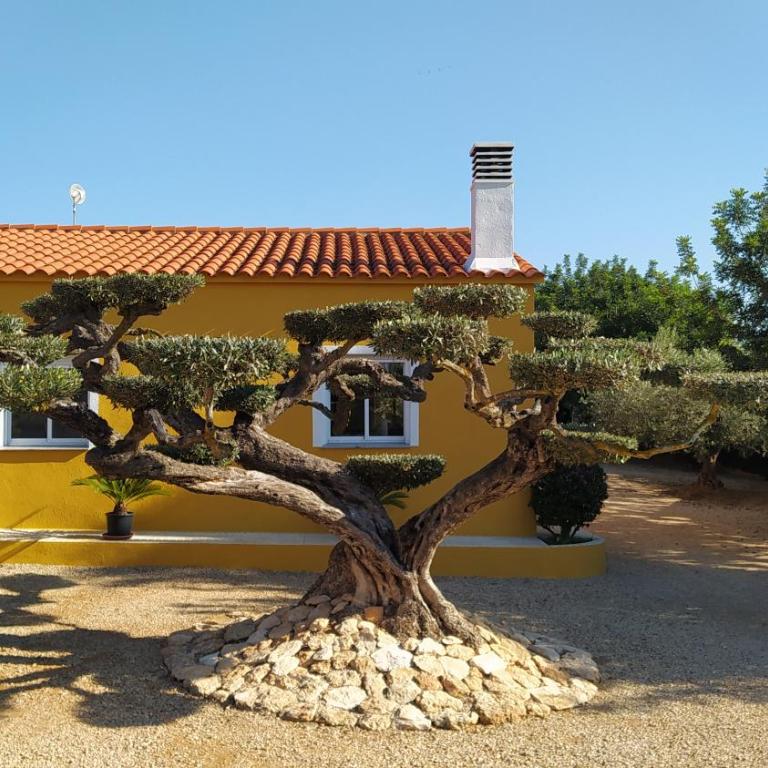 Casa Eli - Casa de 2 dormitorios - 6