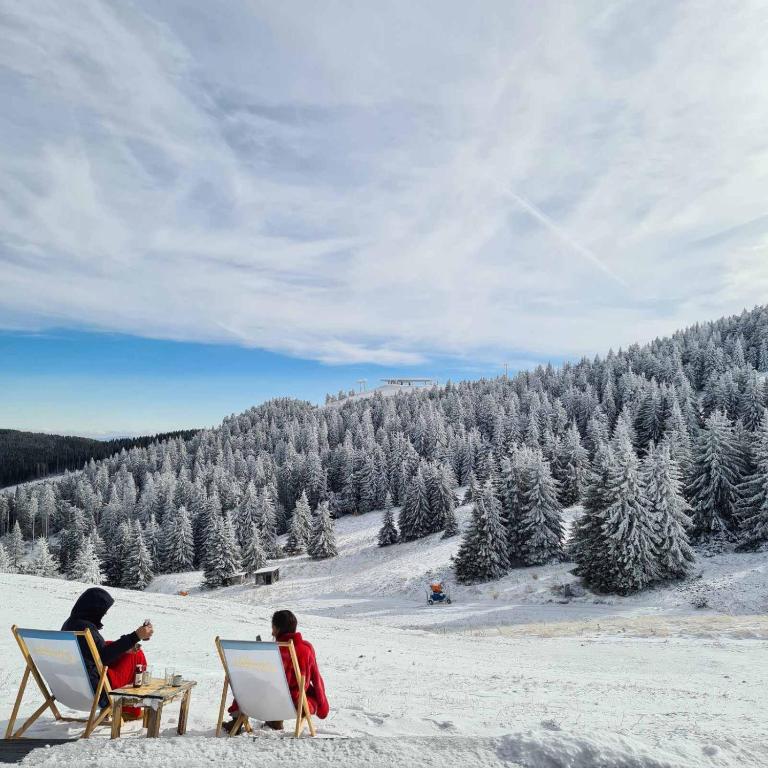 Mountain Side Kopaonik - One-Bedroom Apartment - 67