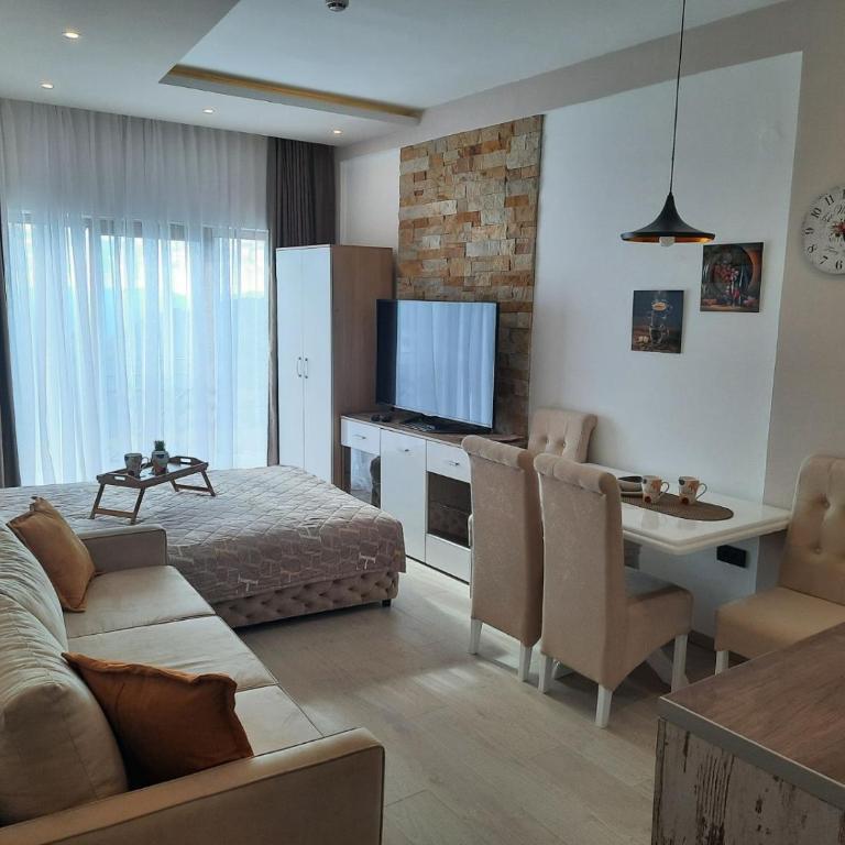 Milmari N11 Kopaonik - One-Bedroom Apartment - 1