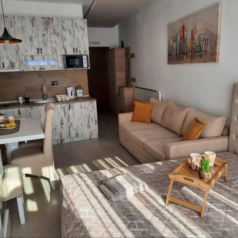 Milmari N11 Kopaonik - One-Bedroom Apartment - 5