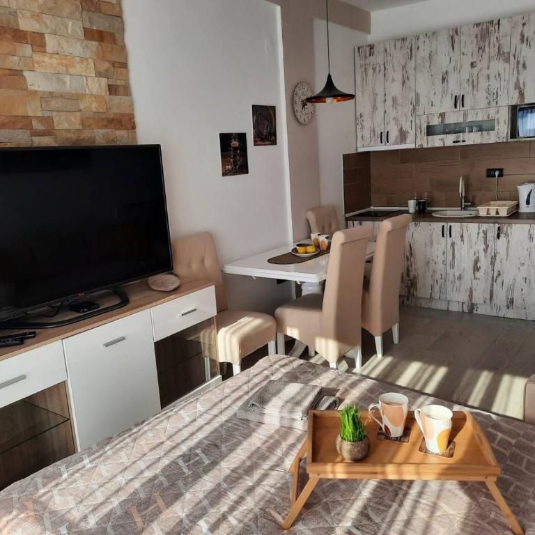 Milmari N11 Kopaonik - One-Bedroom Apartment - 9