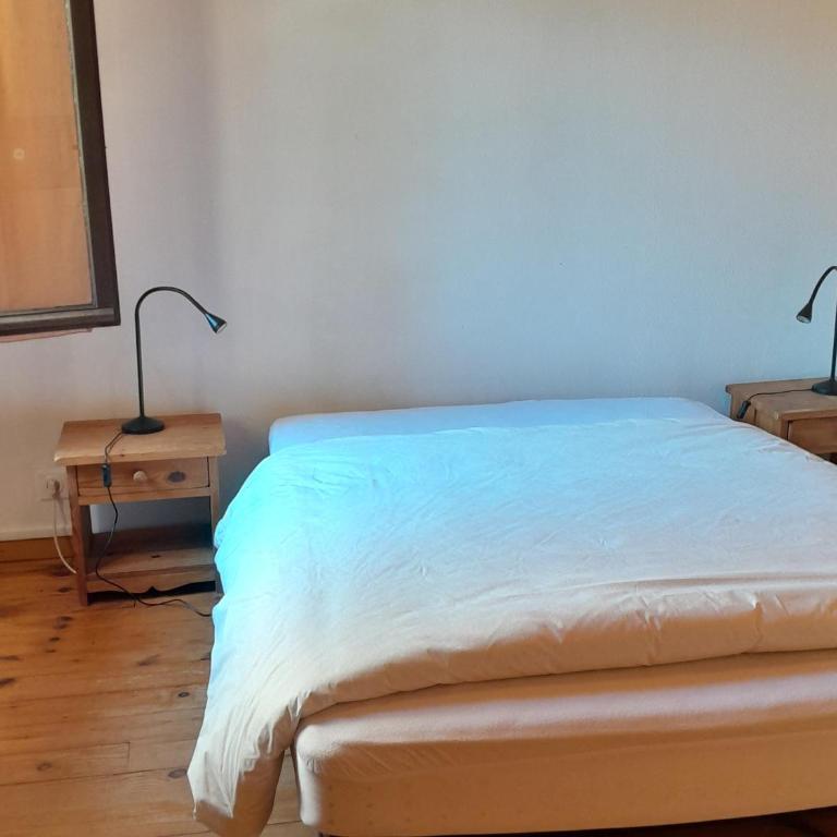 Villa confortable à Seignosse : plage, commerces et piste cyclable à proximité - FR-1-239-771 - Haus mit 2 Schlafzimmern - 4